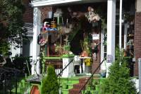 Tivola's Welt - Bildergalerie Besuch Montreal