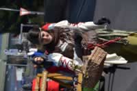 Tivola's Welt - Bildergalerie 2015-02-15: Faschingsumzug LA