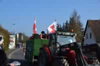 Tivola's Welt - Bildergalerie 2015-02-15: Faschingsumzug LA