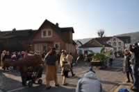 Tivola's Welt - Bildergalerie 2015-02-15: Faschingsumzug LA