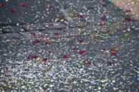 Tivola's Welt - Bildergalerie 2015-02-15: Faschingsumzug LA