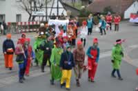 Tivola's Welt - Bildergalerie 2015-02-17: Faschingsumzug in Neuendorf