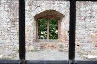 Tivola's Welt - Bildergalerie Tag des Denkmals Ruine Schönrain (10.09.2017)