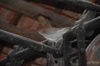 Tivola's Welt - Bildergalerie Besuch von Tobiashammer und KZ Buchenwald im September 2017