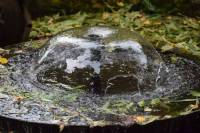 Tivola's Welt - Bildergalerie Besuch von Tobiashammer und KZ Buchenwald im September 2017