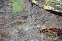 Tivola's Welt - Bildergalerie Besuch von Tobiashammer und KZ Buchenwald im September 2017