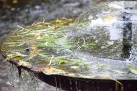 Tivola's Welt - Bildergalerie Besuch von Tobiashammer und KZ Buchenwald im September 2017