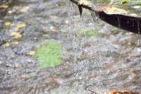 Tivola's Welt - Bildergalerie Besuch von Tobiashammer und KZ Buchenwald im September 2017