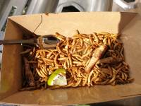 Tivola's Welt - Bildergalerie Streetfood Festival Marktheidenfeld (16/17.09.2017)