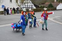 Tivola's Welt - Bildergalerie Faschingsumzug Neuendorf (2017)